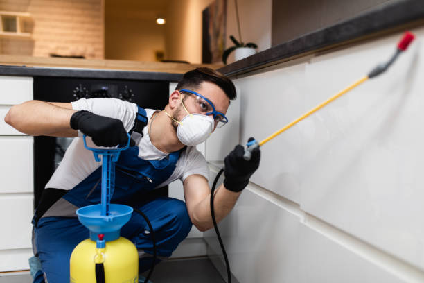 Best Pest Removal Services  in Uvalde, TX