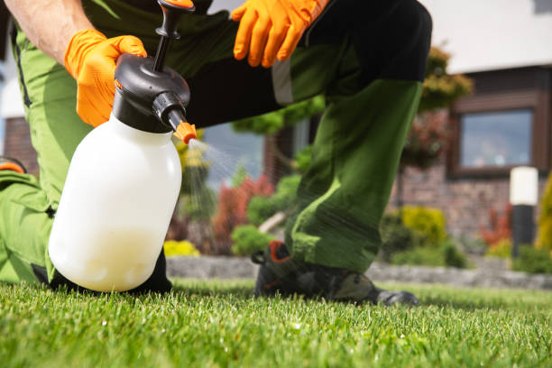 Best Termite Control Services  in Uvalde, TX