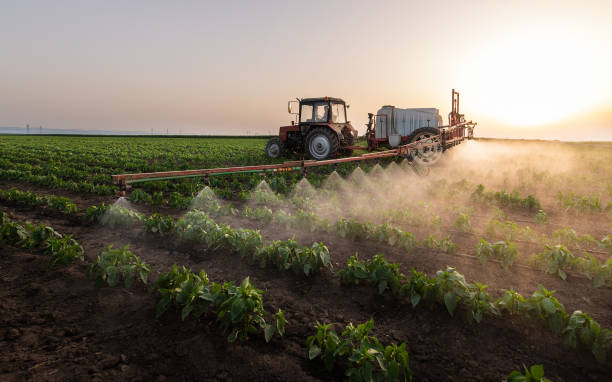 Best Pest Control Near Me  in Uvalde, TX