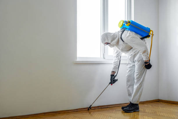 Best Wildlife Control Services  in Uvalde, TX