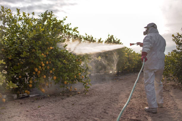 Best Emergency Pest Control  in Uvalde, TX