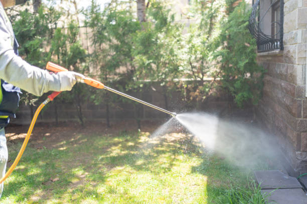 Best Flea Control Services  in Uvalde, TX